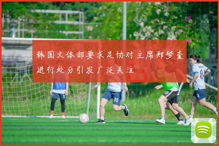 韩国文体部要求足协对主席郑梦奎进行处分引发广泛关注