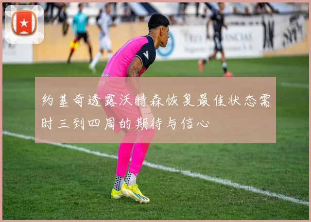 约基奇透露沃特森恢复最佳状态需时三到四周的期待与信心
